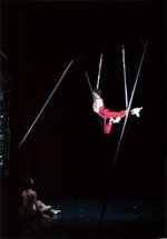 Gary Avis in the Trapeze